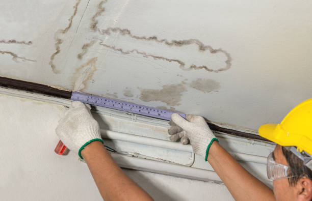 Reliable Water Damage contractor in Carson City, MI by Water Damage Irwin